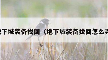 地下城装备找回（地下城装备找回怎么弄）