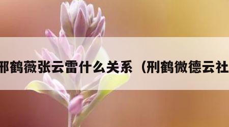 邢鹤薇张云雷什么关系（刑鹤微德云社）