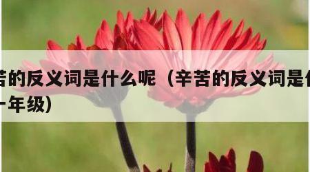辛苦的反义词是什么呢（辛苦的反义词是什么呢一年级）