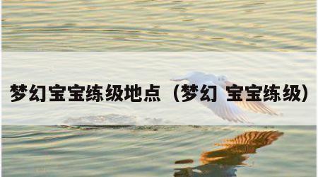 梦幻宝宝练级地点（梦幻 宝宝练级）