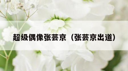 超级偶像张芸京（张芸京出道）