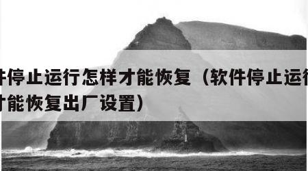 软件停止运行怎样才能恢复（软件停止运行怎样才能恢复出厂设置）