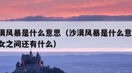 沙漠风暴是什么意思（沙漠风暴是什么意思 男女之间还有什么）