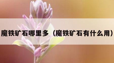 魔铁矿石哪里多（魔铁矿石有什么用）