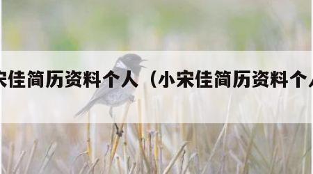 小宋佳简历资料个人（小宋佳简历资料个人身高）