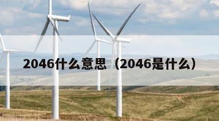 2046什么意思（2046是什么）