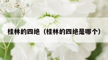 桂林的四绝（桂林的四绝是哪个）