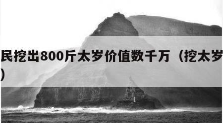 村民挖出800斤太岁价值数千万（挖太岁视频）