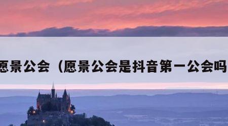 愿景公会（愿景公会是抖音第一公会吗）