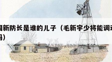中国新防长是谁的儿子（毛新宇少将能调动部队吗）
