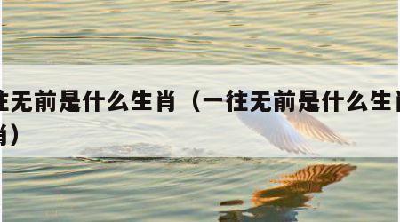 一往无前是什么生肖（一往无前是什么生肖打一肖）