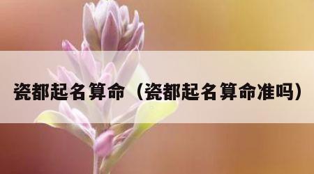 瓷都起名算命（瓷都起名算命准吗）