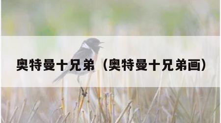 奥特曼十兄弟（奥特曼十兄弟画）