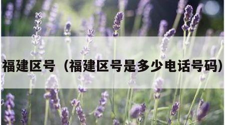 福建区号（福建区号是多少电话号码）