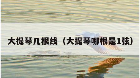 大提琴几根线（大提琴哪根是1弦）