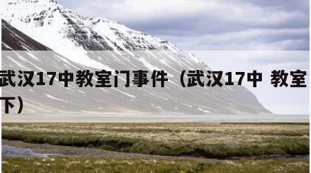 武汉17中教室门事件（武汉17中 教室 下）