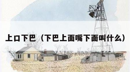 上口下巴（下巴上面嘴下面叫什么）