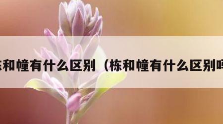 栋和幢有什么区别（栋和幢有什么区别吗）
