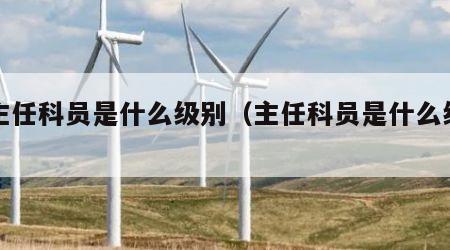 副主任科员是什么级别（主任科员是什么级别）