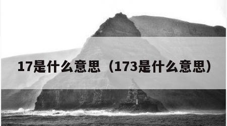17是什么意思（173是什么意思）