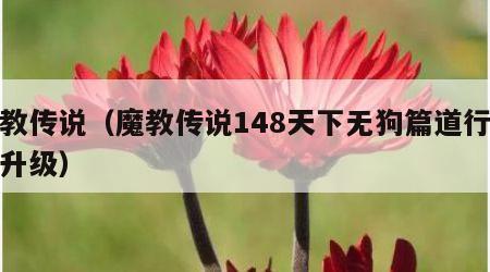 魔教传说（魔教传说148天下无狗篇道行怎么升级）