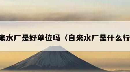 自来水厂是好单位吗（自来水厂是什么行业）