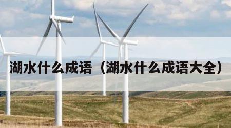 湖水什么成语（湖水什么成语大全）