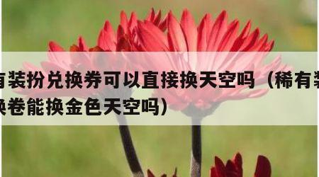 稀有装扮兑换券可以直接换天空吗（稀有装备兑换卷能换金色天空吗）