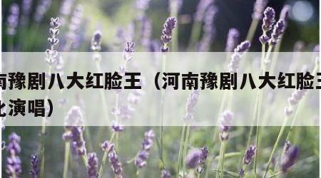 河南豫剧八大红脸王（河南豫剧八大红脸王索文化演唱）