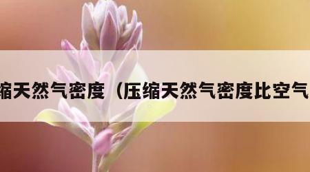 压缩天然气密度（压缩天然气密度比空气小）