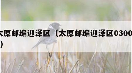 太原邮编迎泽区（太原邮编迎泽区030001）