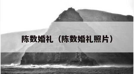 陈数婚礼（陈数婚礼照片）