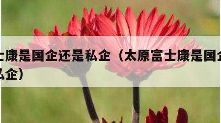 富士康是国企还是私企（太原富士康是国企还是私企）