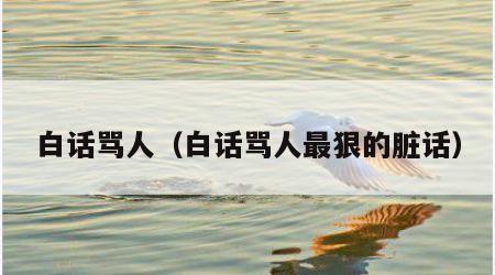 白话骂人（白话骂人最狠的脏话）