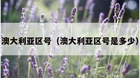 澳大利亚区号（澳大利亚区号是多少）
