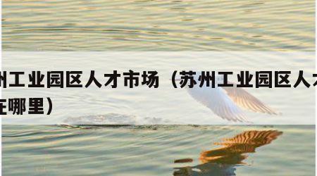 苏州工业园区人才市场（苏州工业园区人才市场在哪里）