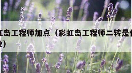 彩虹岛工程师加点（彩虹岛工程师二转是什么职业）