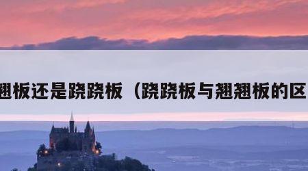 翘翘板还是跷跷板（跷跷板与翘翘板的区别）