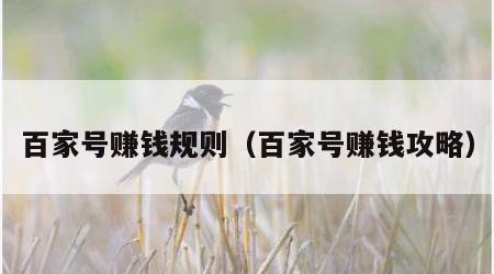 百家号赚钱规则（百家号赚钱攻略）