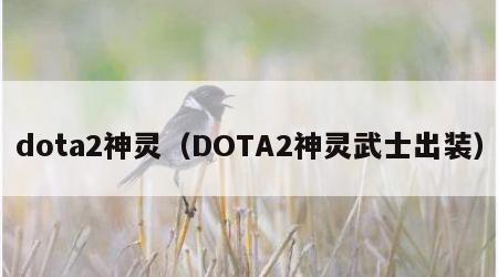 dota2神灵（DOTA2神灵武士出装）