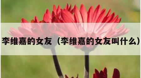李维嘉的女友（李维嘉的女友叫什么）