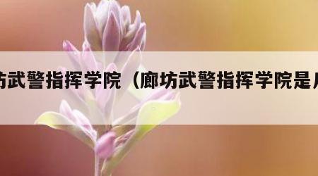 廊坊武警指挥学院（廊坊武警指挥学院是几本）
