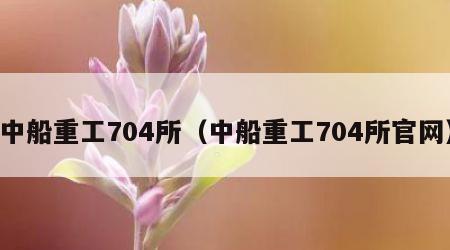 中船重工704所（中船重工704所官网）