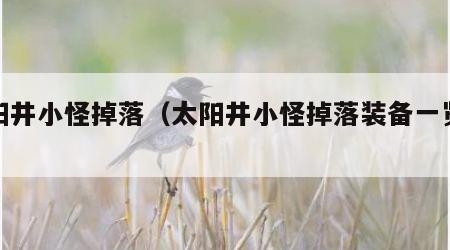 太阳井小怪掉落（太阳井小怪掉落装备一览表）