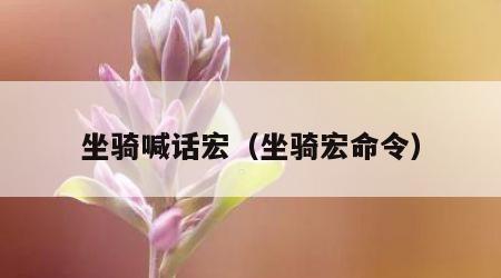 坐骑喊话宏（坐骑宏命令）
