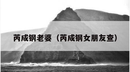 芮成钢老婆（芮成钢女朋友查）