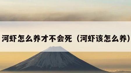 河虾怎么养才不会死（河虾该怎么养）