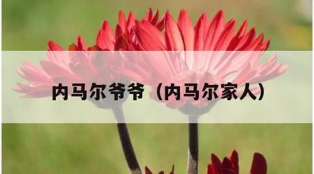 内马尔爷爷（内马尔家人）