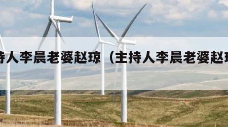 主持人李晨老婆赵琼（主持人李晨老婆赵琼图片）