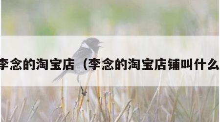 李念的淘宝店（李念的淘宝店铺叫什么）